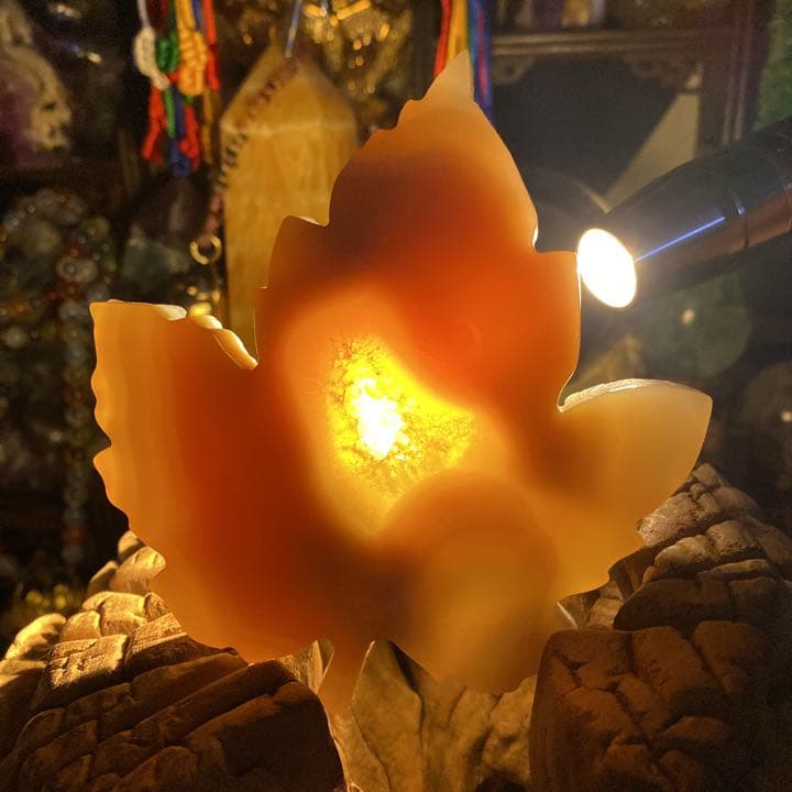 レア物 特大 トレジャー メノウ 玉髓 龍穴結晶 風化紋 紅葉手彫リ！