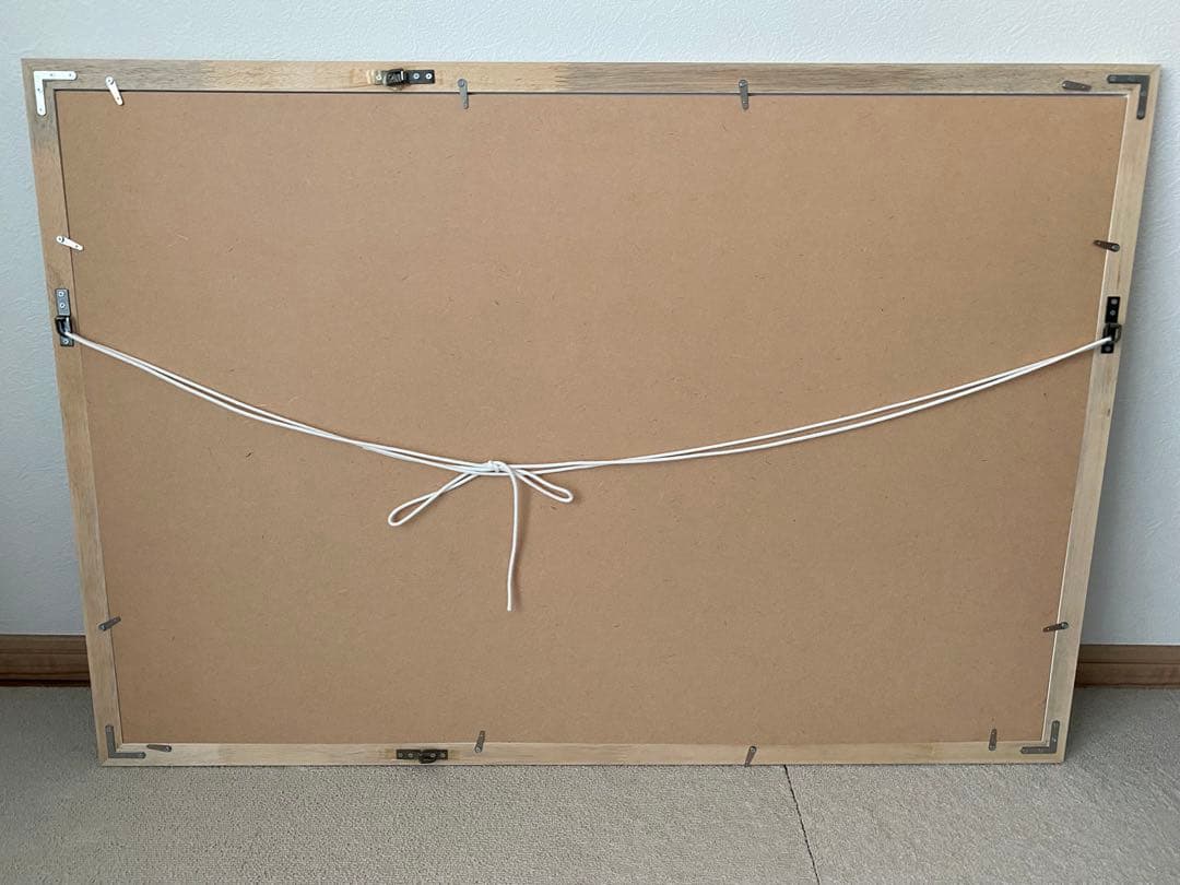 patagonia パタゴニア ポスター 額装品 特大 96cm×66cm