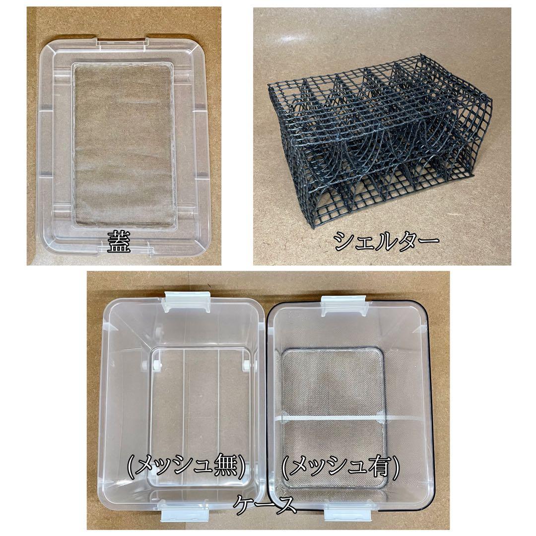 ドカ様　M(フル)(デュ)