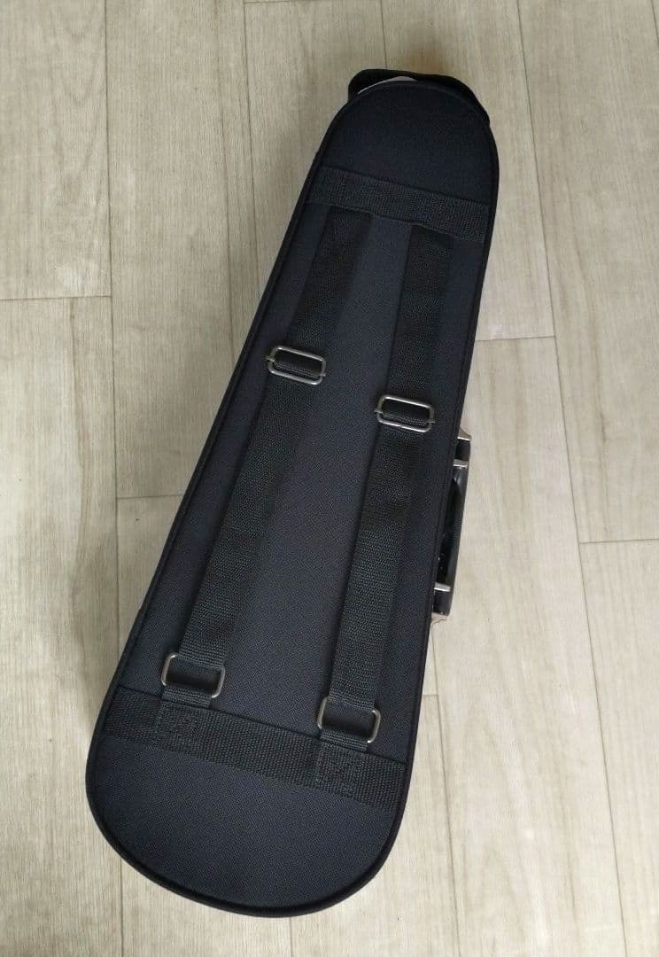 Regin1/8バイオリン、弓、肩当て、ケースセット