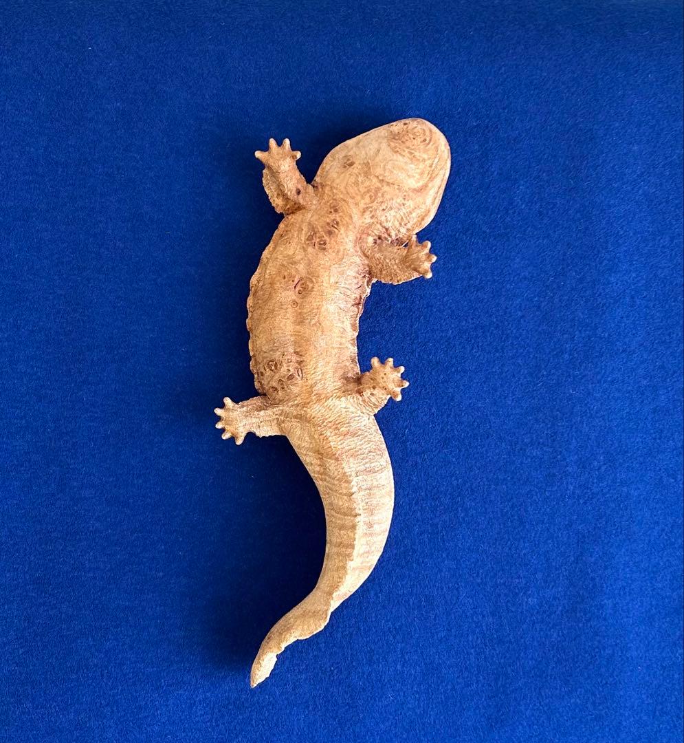 田中鱗水 メープル瘤材彫オオサンショウウオ 26cm 125.52g 神代杉台付