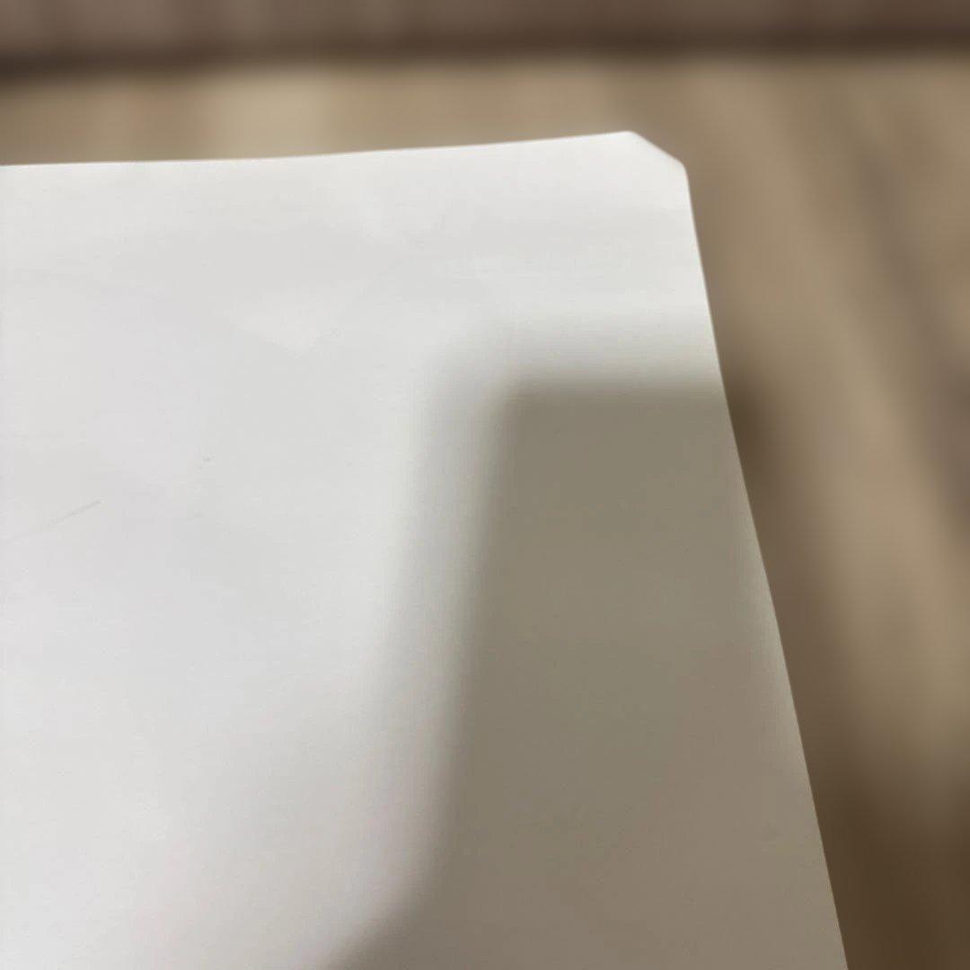 非売品❗️ゼルダの伝説 トワイライトプリンセス ポスター