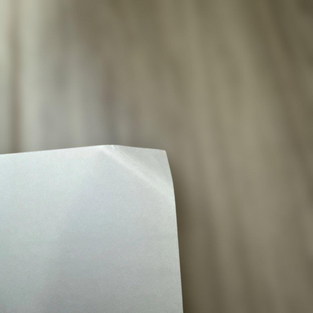 非売品❗️ゼルダの伝説 トワイライトプリンセス ポスター