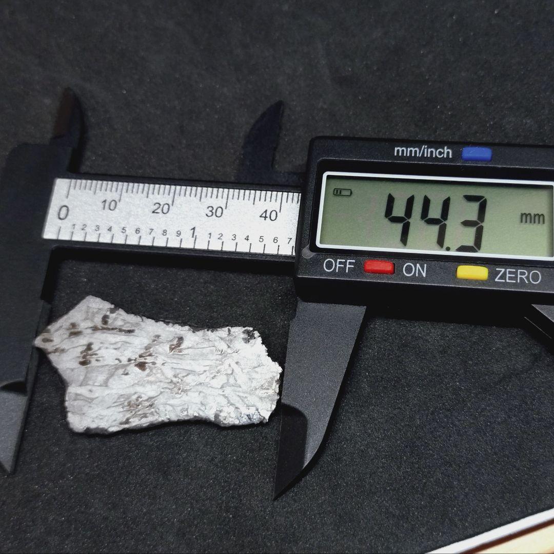 ギベオン隕石　(スライス)　8.8g