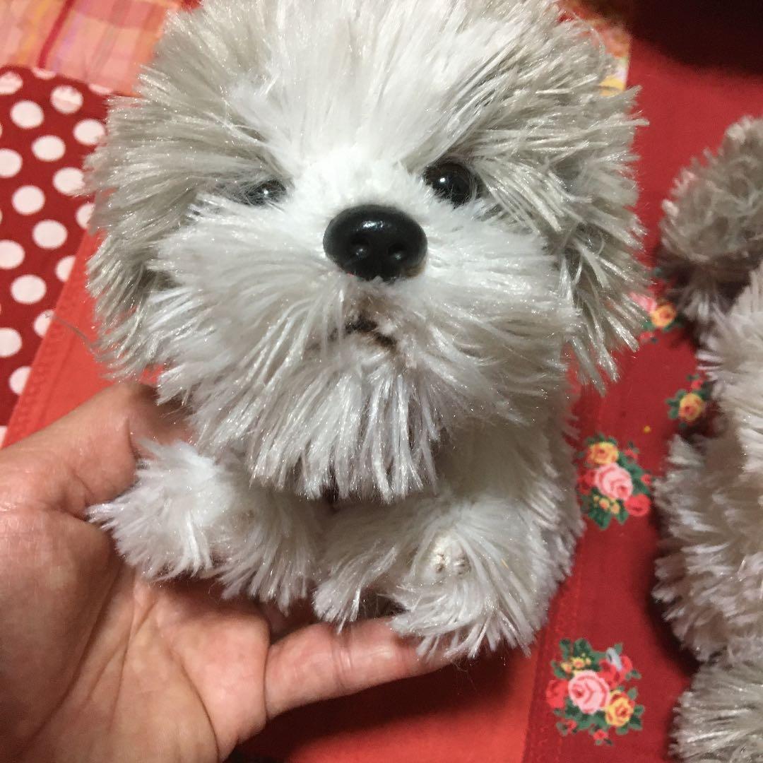 ぬいぐるみ　犬　モフモフ　子犬　クタクタ犬　シーズー　犬　わんちゃんペア