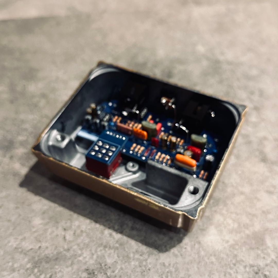 Lemon & Ginger けんたろう　5周年記念モデル