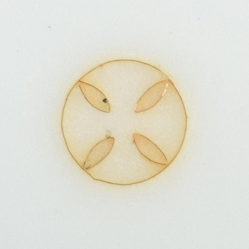 七宝焼 安藤七宝店 藤松紋 盒子蓋物 共箱 M R7693 美術品