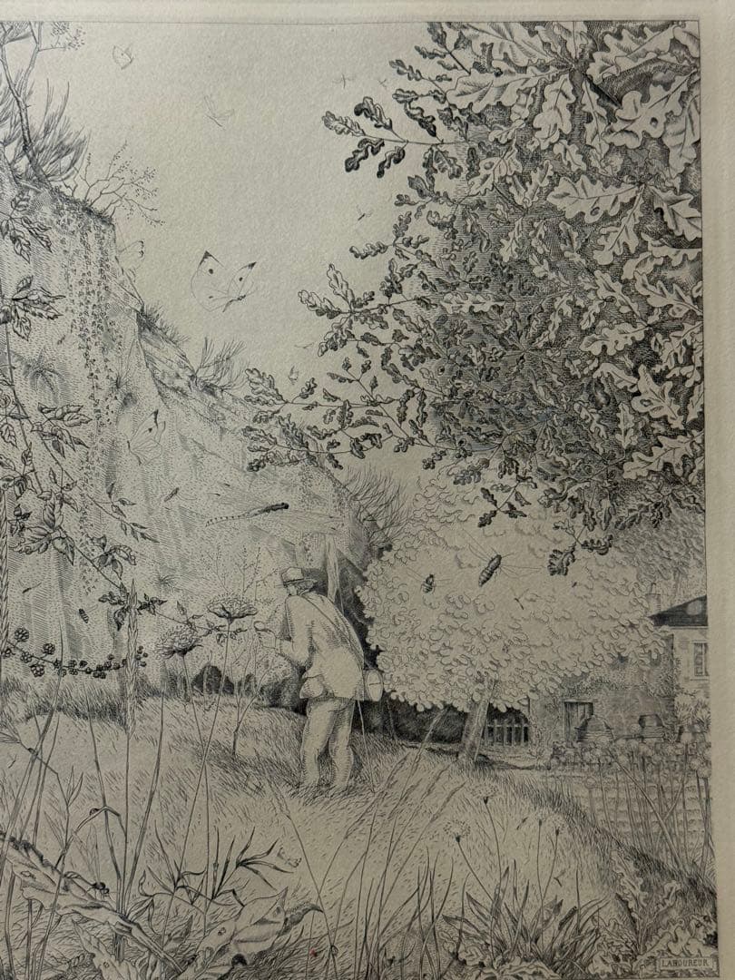 ジャン＝エミール・ラボルール 昆虫学者 (L' Entomologiste)