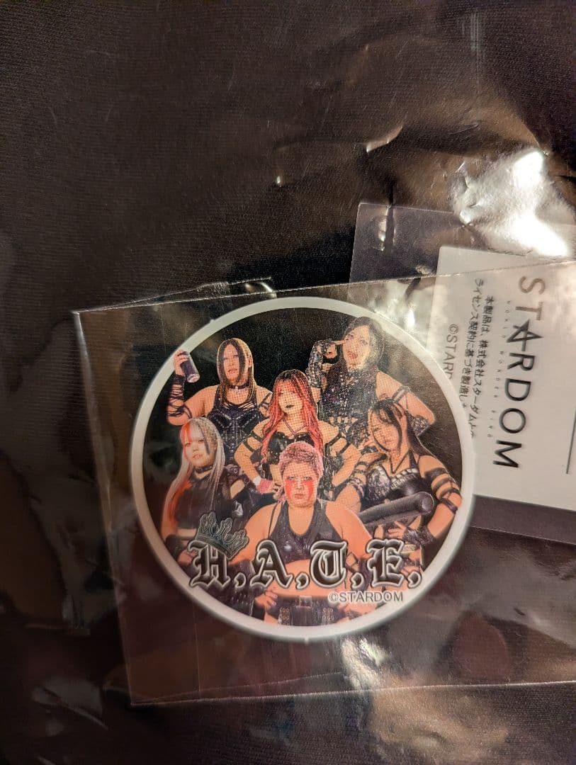 スターダム　上谷沙弥　スウェット上下　３Ｌ　ジップパーカー&ジョガーパンツ