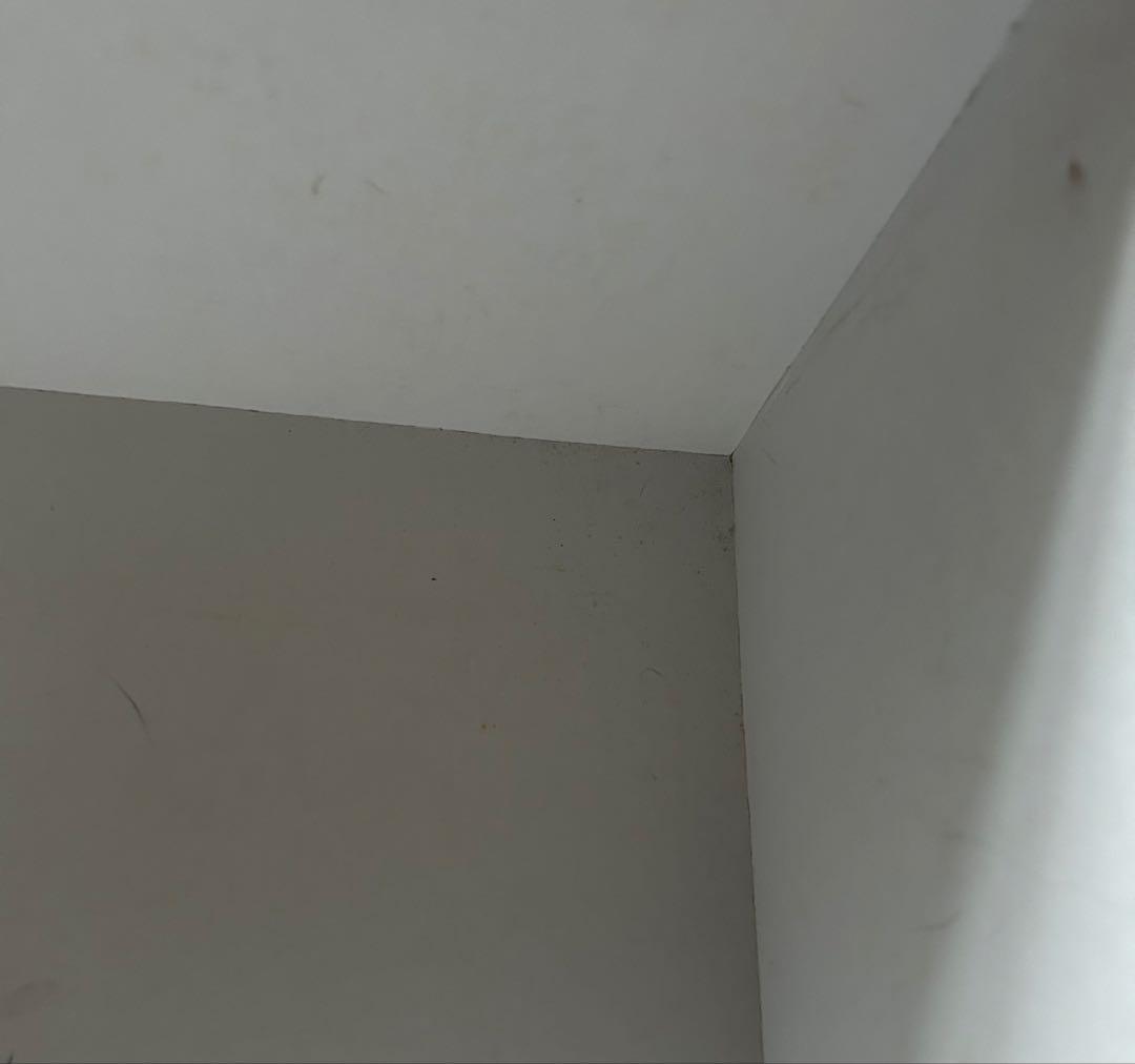 エルメス HERMES 空箱 横43×縦43×高さ17.5 ショッパー 3枚