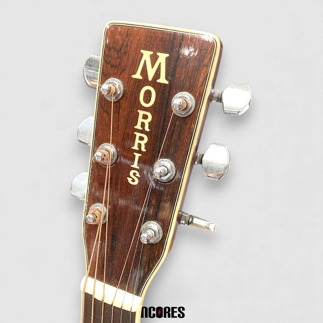 Morris W-40 ドレッドノート アコースティックギター