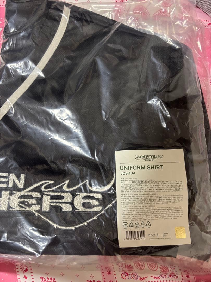 RAMPAGE 巡らせる糸 長谷川慎クッション