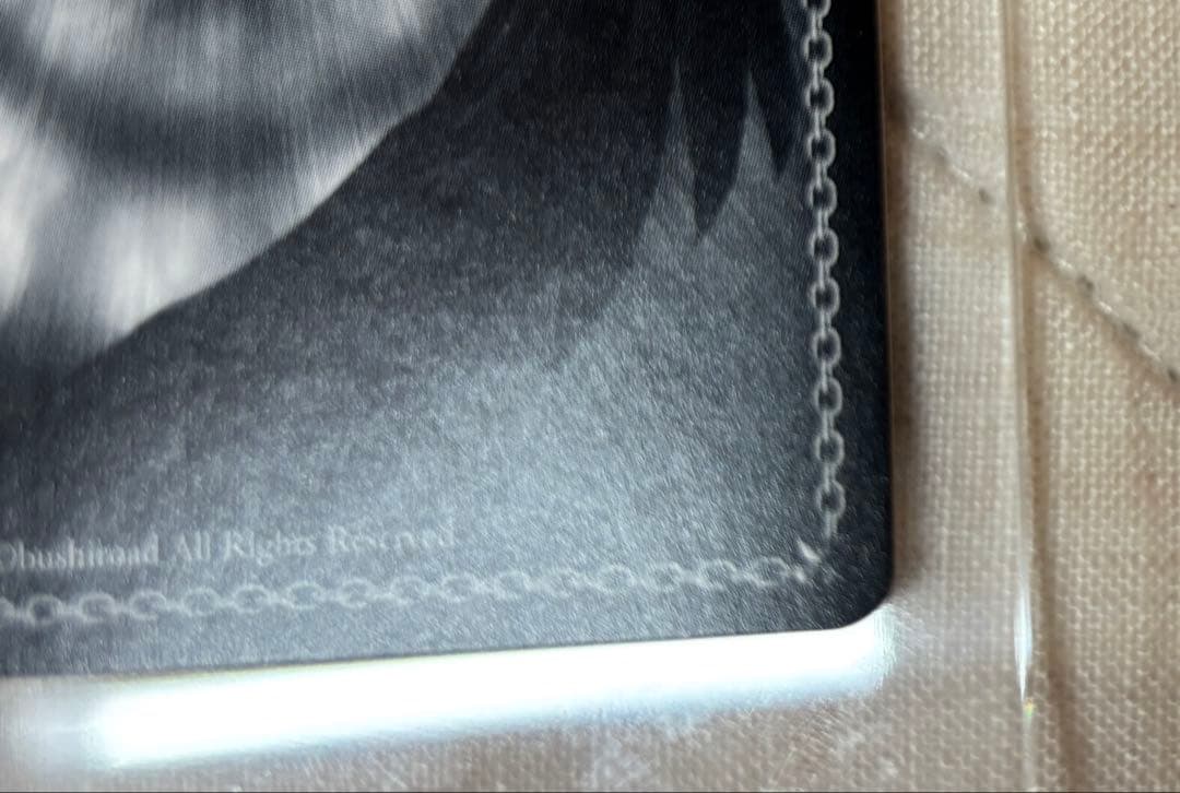 時々ボソッとロシア語でデレる隣のアーリャさん SP