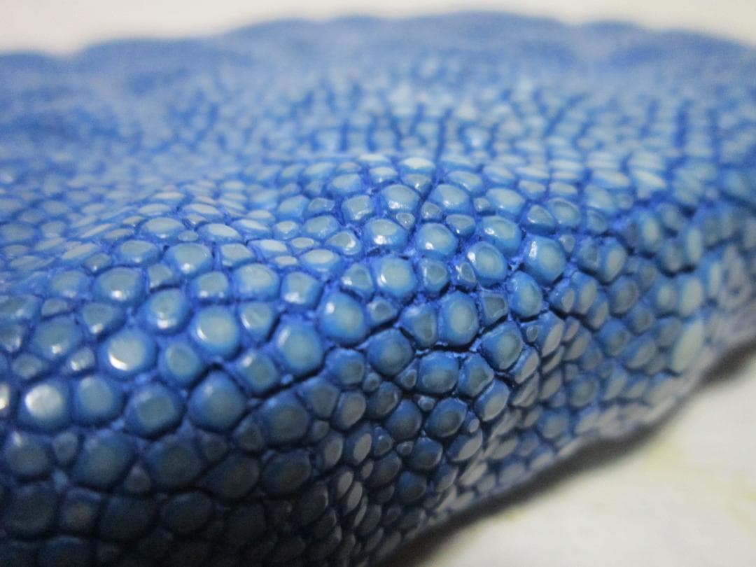 ペンケース ガルーシャ アシュフォード 趣味の文具箱 コラボ 5本差し