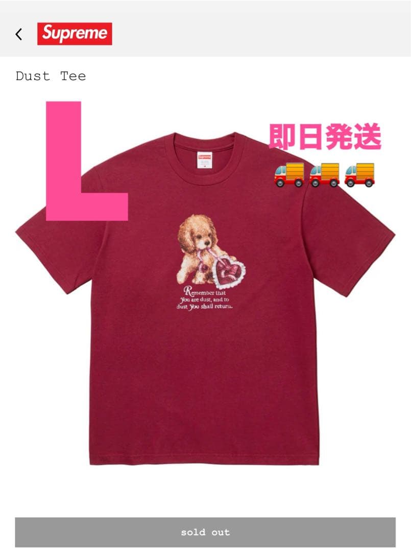 Supreme Dust Tee 