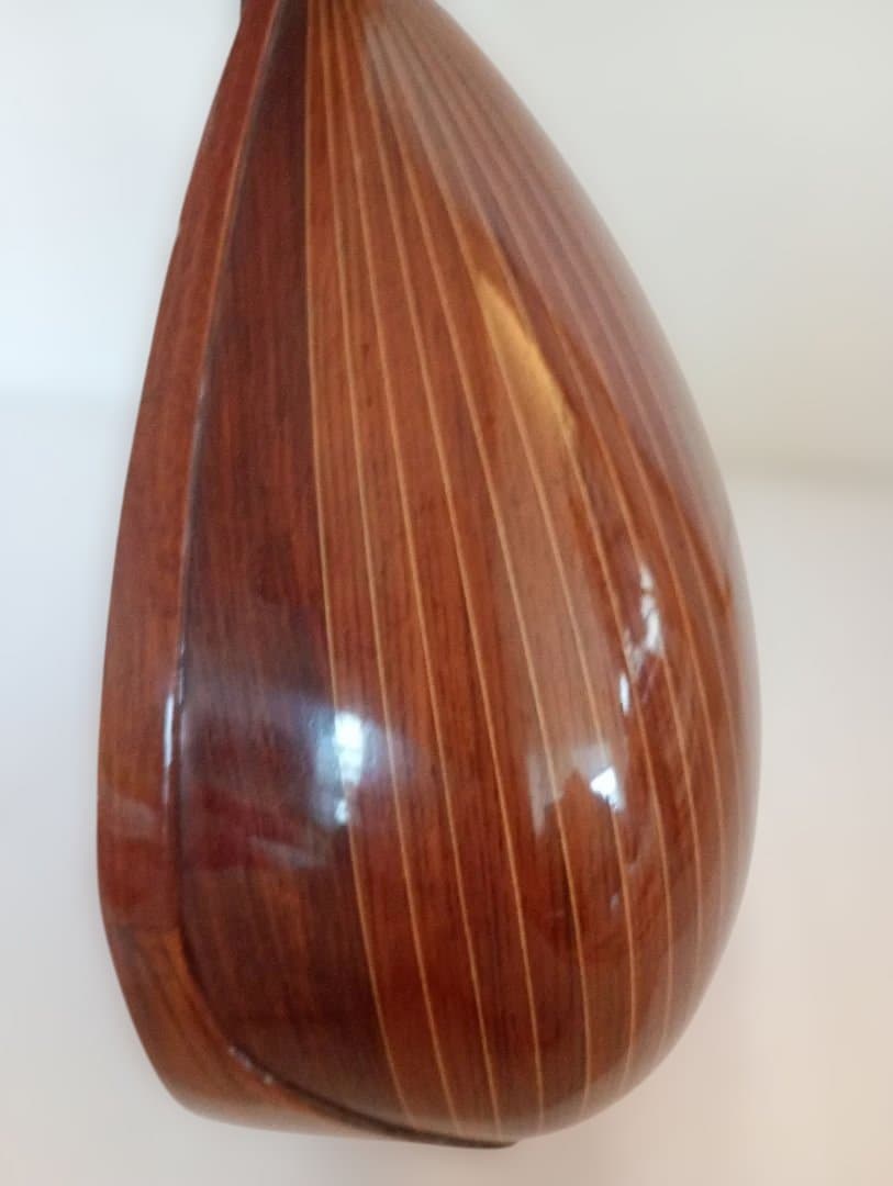 Calaceカラーチェ Mandolinマンドリン【No.24】