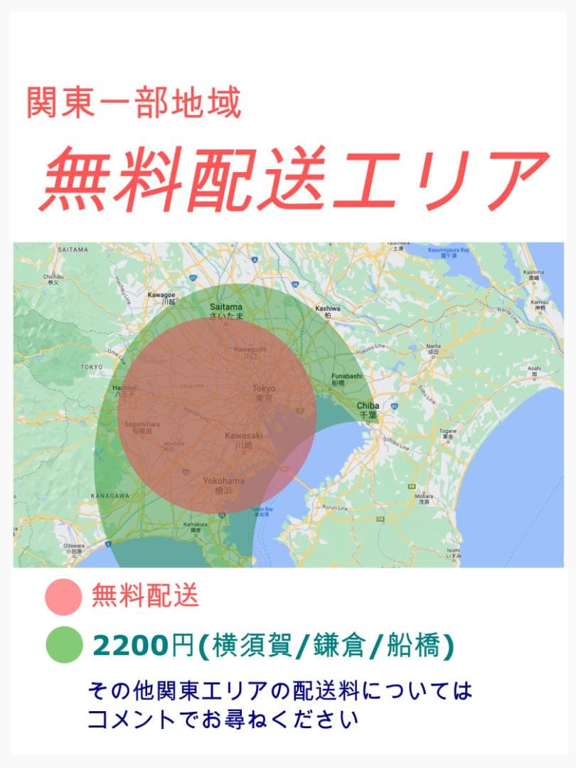 ラクイック 2020 ギュット・クルーム 子供乗せ電動アシスト自転車 H2837