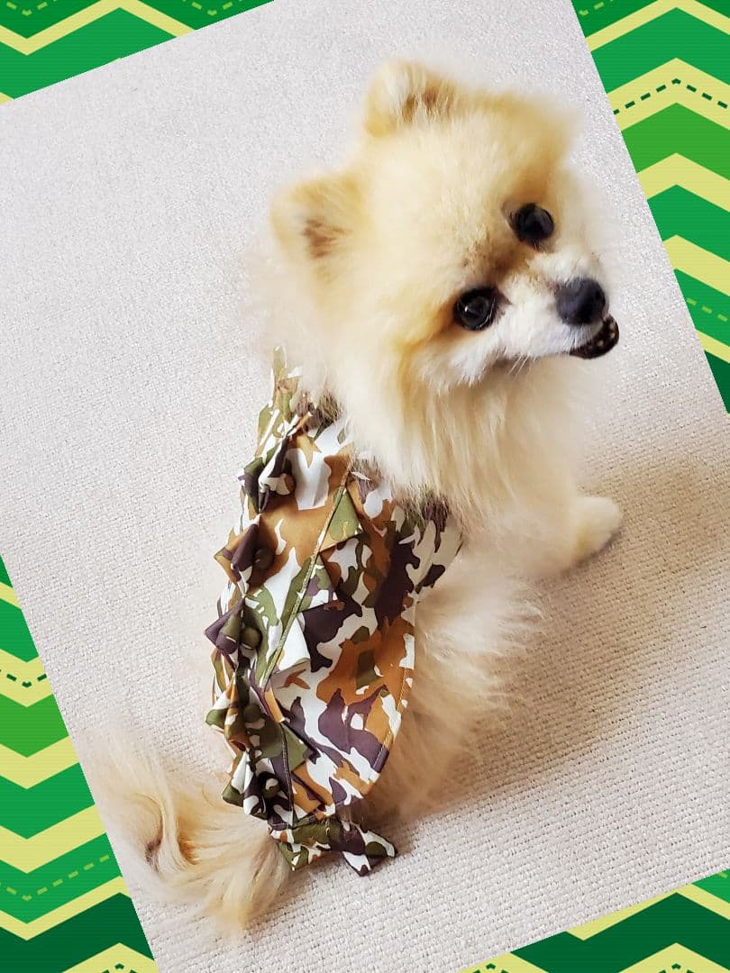 ハンドメイド♡犬服♡1点物】迷彩 × トゲトゲ Lサイズ