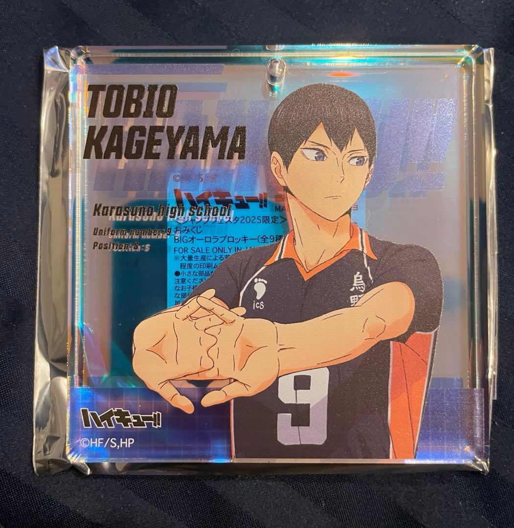 ジャンプフェスタ2025 ショウワノート ハイキュー BIGオーロラブロッキー