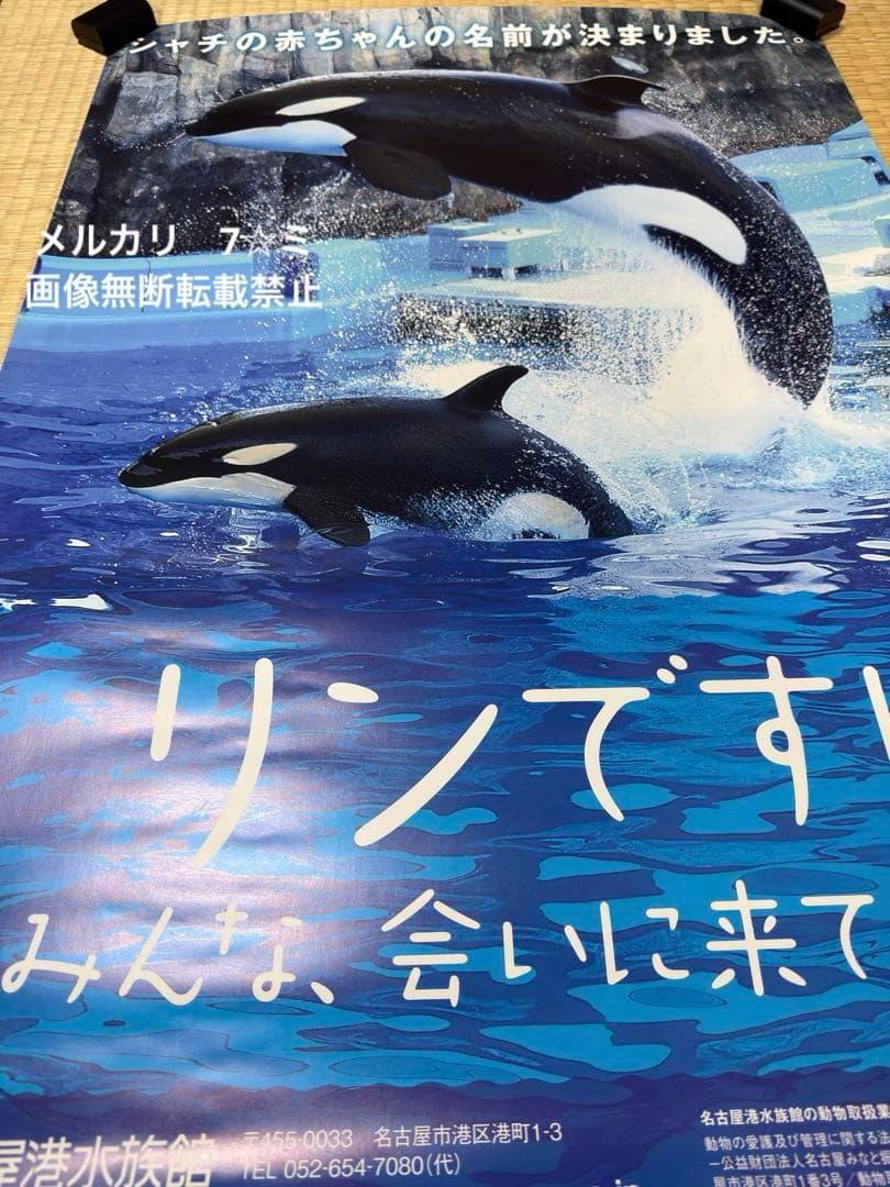 レア・ラスト1点】名古屋港水族館 シャチ リンちゃん ステラ ポスター