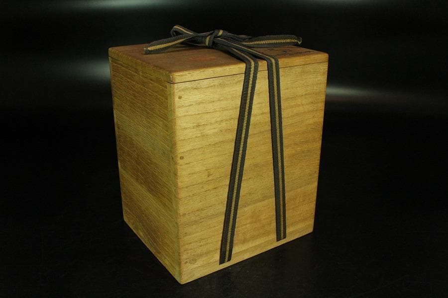 煎茶 桐山造 青花龍紋 水注 瓶 共箱 美品(K-A932) 南山