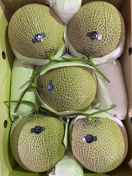 真作】秋峰/梅花山水図/山家梅花図/掛軸☆宝船☆Y-686 JM 配送