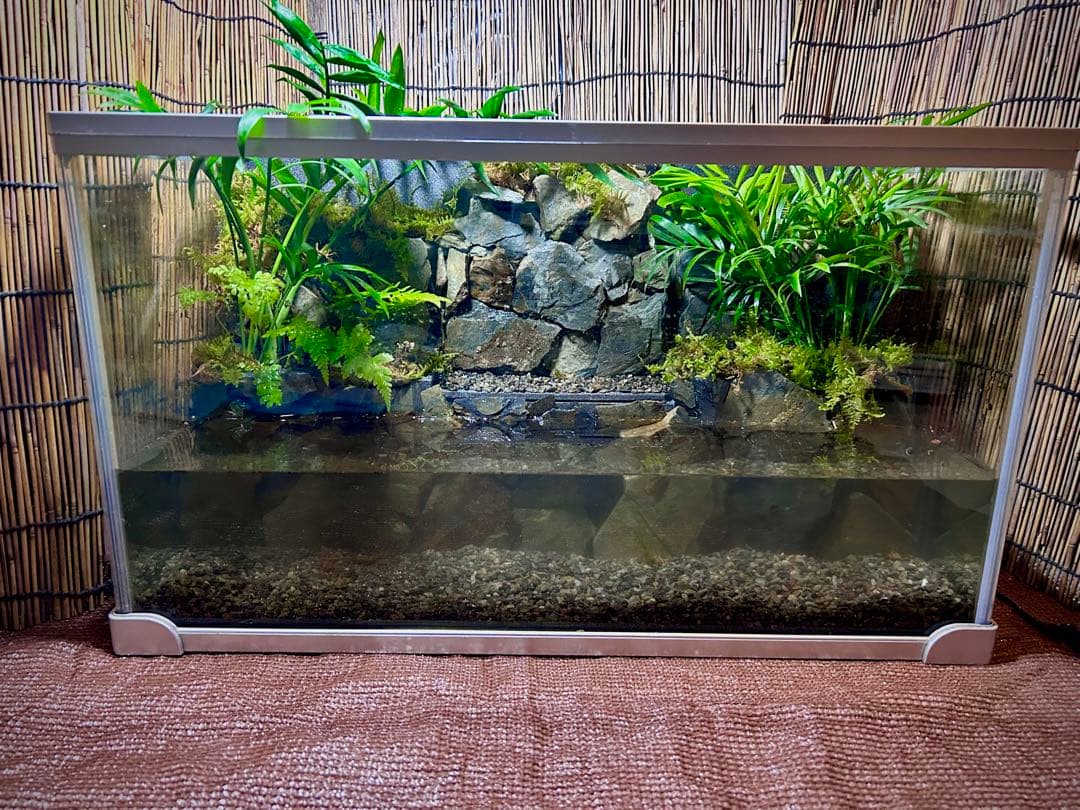 水の流れる滝テラリウム水槽 苔テラリウム