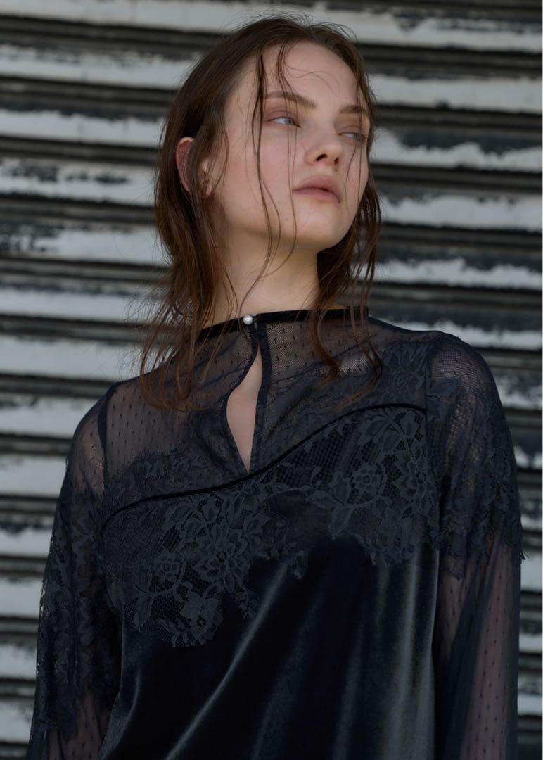 WILLFULLY dot tulle panel lace velour OP - メルカリ