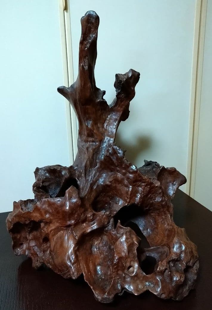 天然木 枯れ木 切り株 流木 オブジェ 床の間 飾り 希少 アート