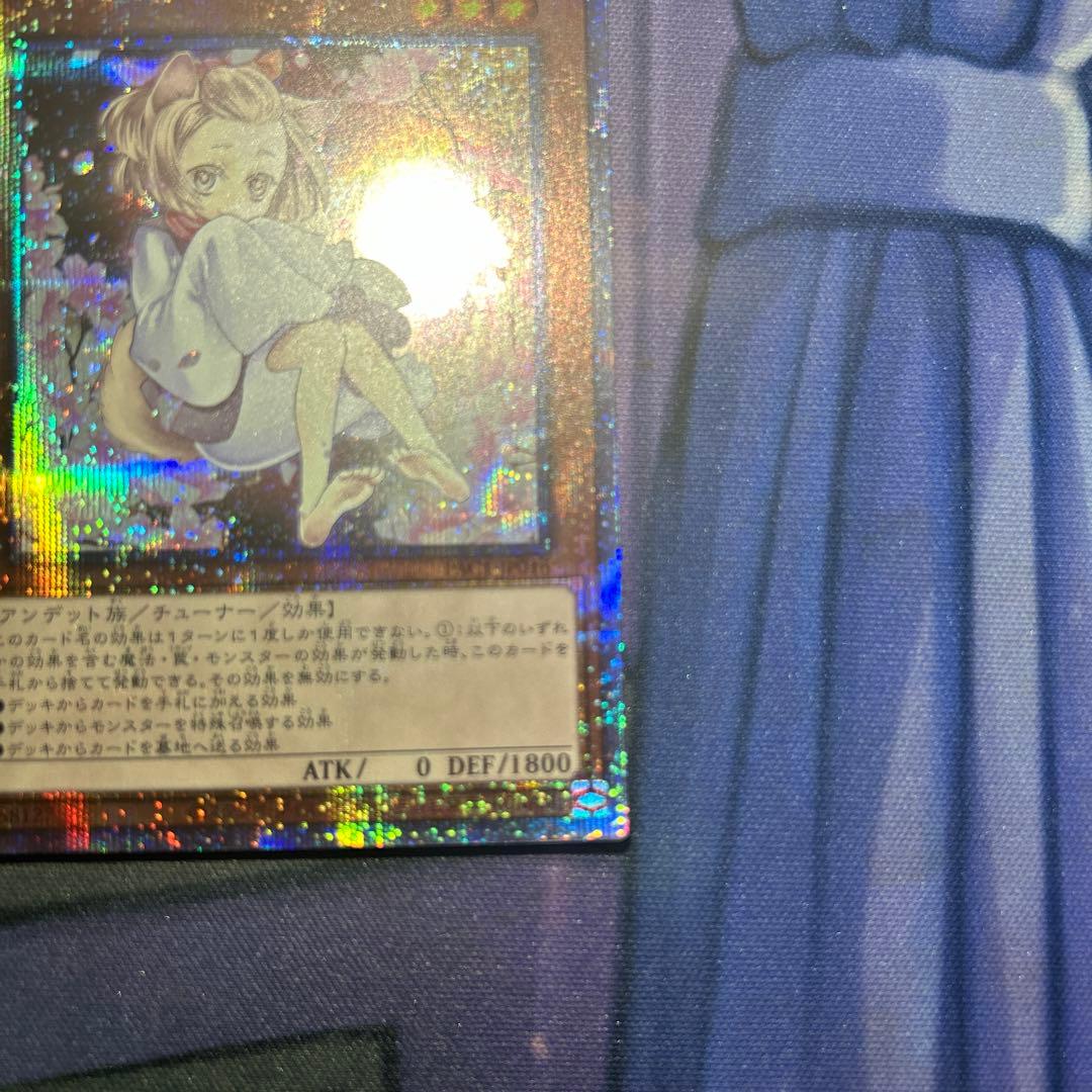 【五つ目】遊戯王　灰流うらら　絵違い　プリズマ