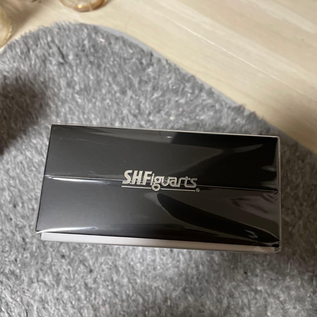 S.H.Figuarts 真骨頂　仮面ライダー龍騎