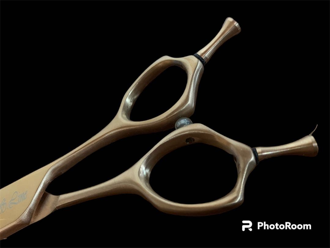 シルバーライン silverline ブレンダー ゴールドパンパン 箱付き