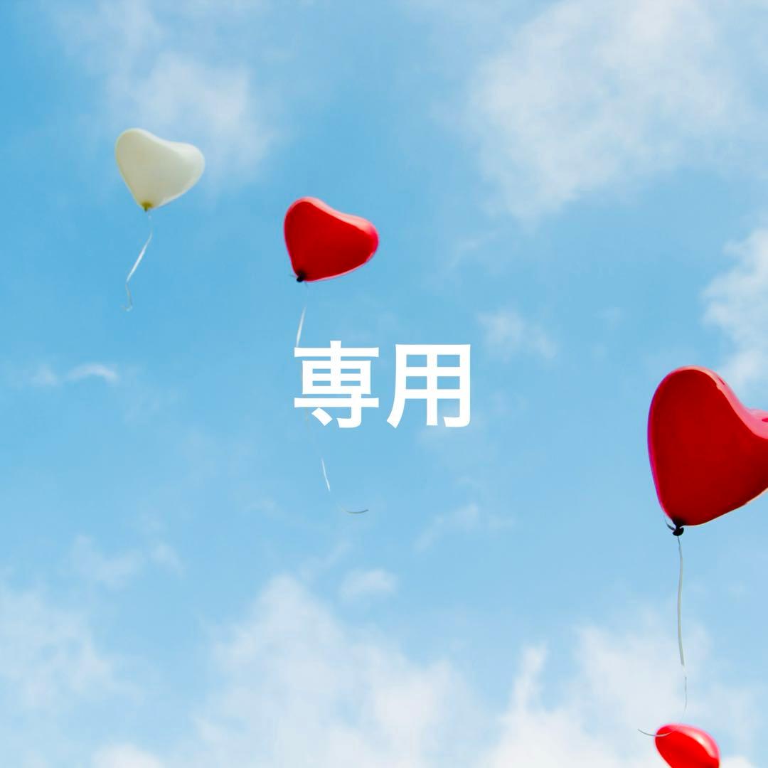 特価!!ニナファーム サンテアージュ モンコパン (犬猫) オキシリア