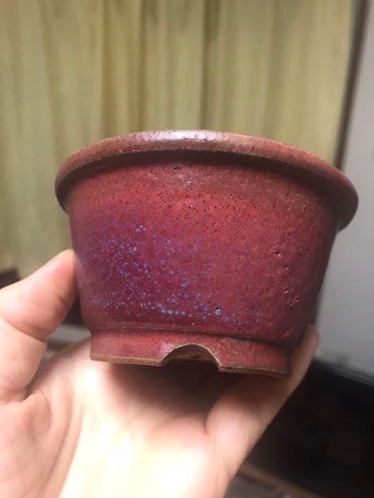 盆栽鉢　時代小品ミニ盆栽鉢峯生3点山野草サボテン可愛い植木鉢