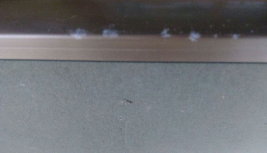 日本画　スズラン　花の絵