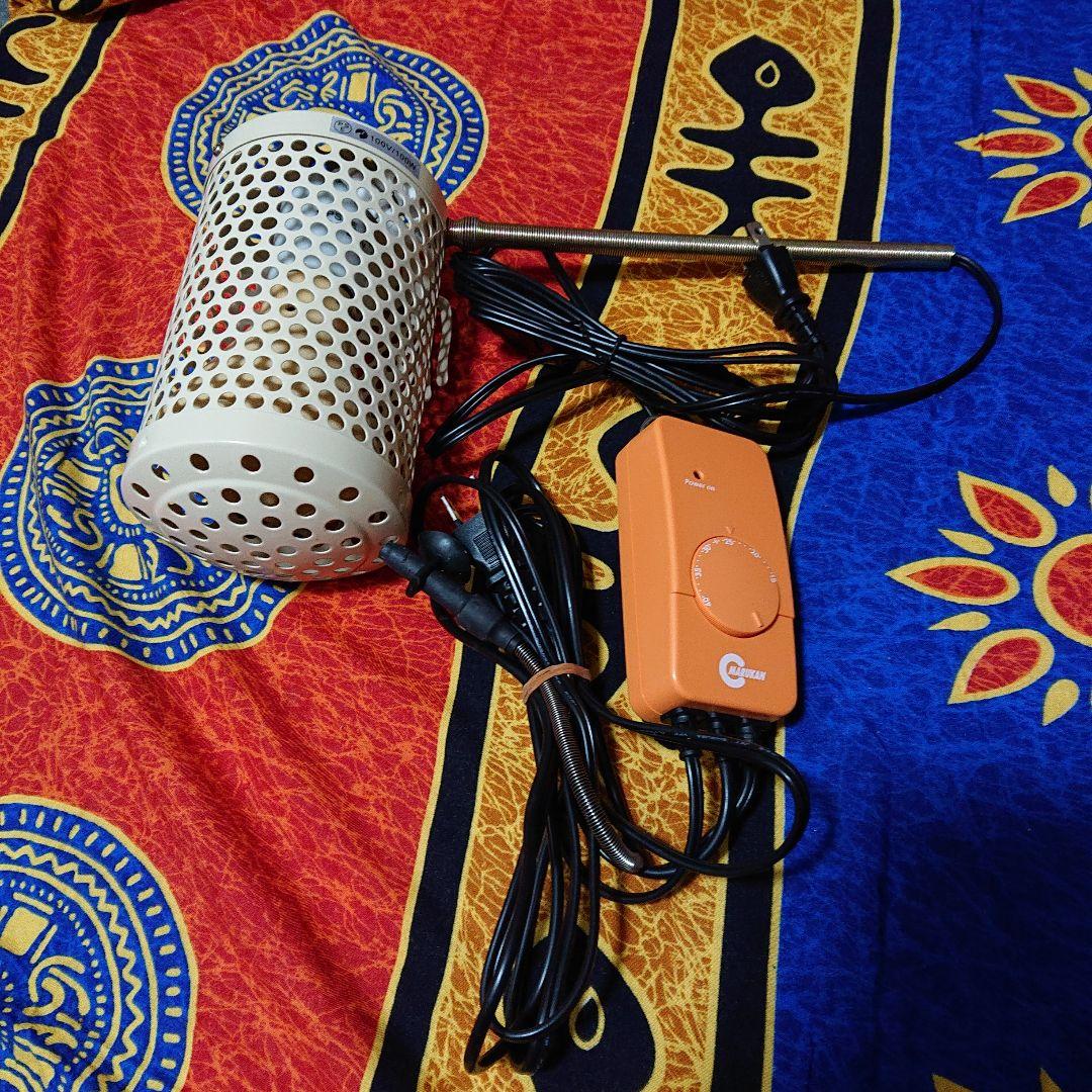 小動物用ヒーター 100W ミニマルサーモ サーモスタットセット 鳥