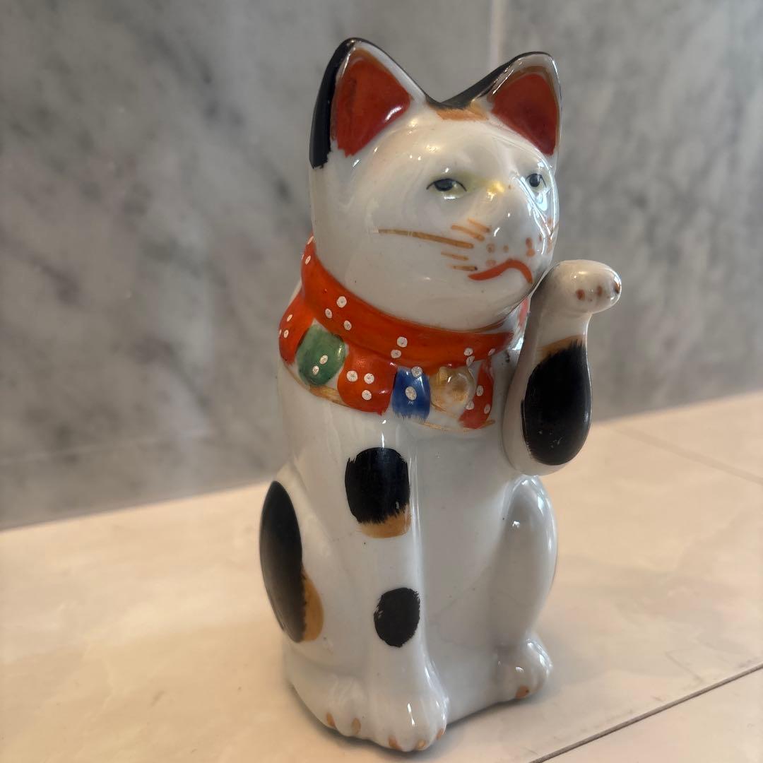 アイヌと自然デジタル図鑑 アイヌヴィンテージ 凛々しくスマートなお顔