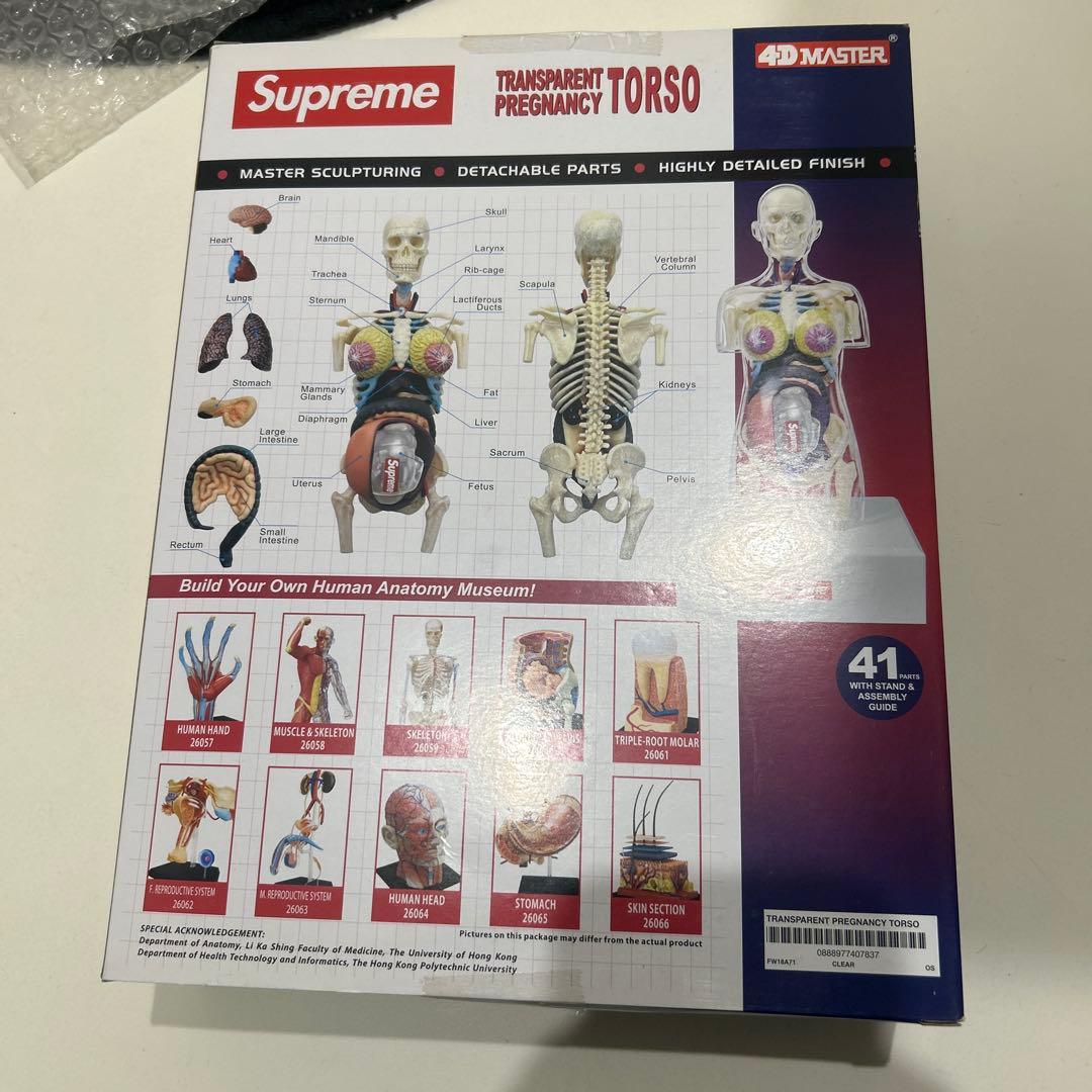 新品未開封】Supreme 4D Human 人体模型 女性