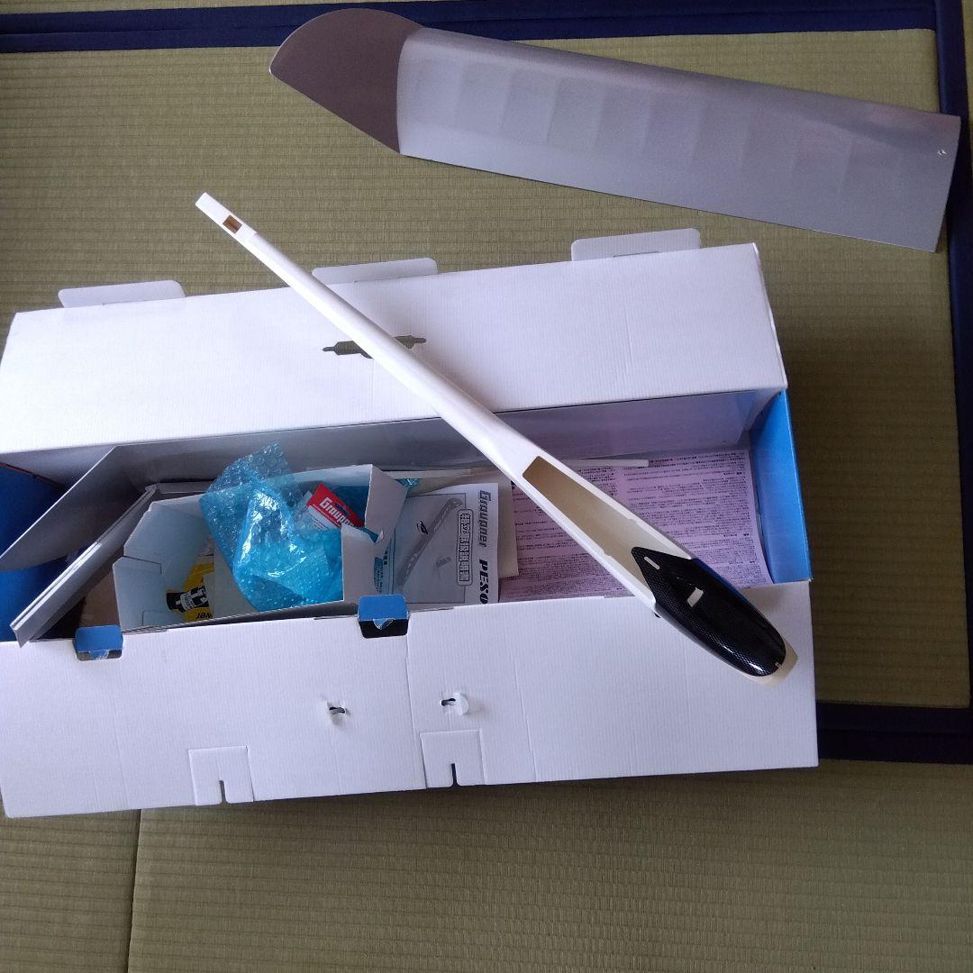 電動ラジコン飛行