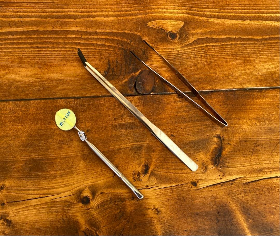 クワガタ採集セット オリジナル掻き出し棒 デジタルノギス 採集ケース