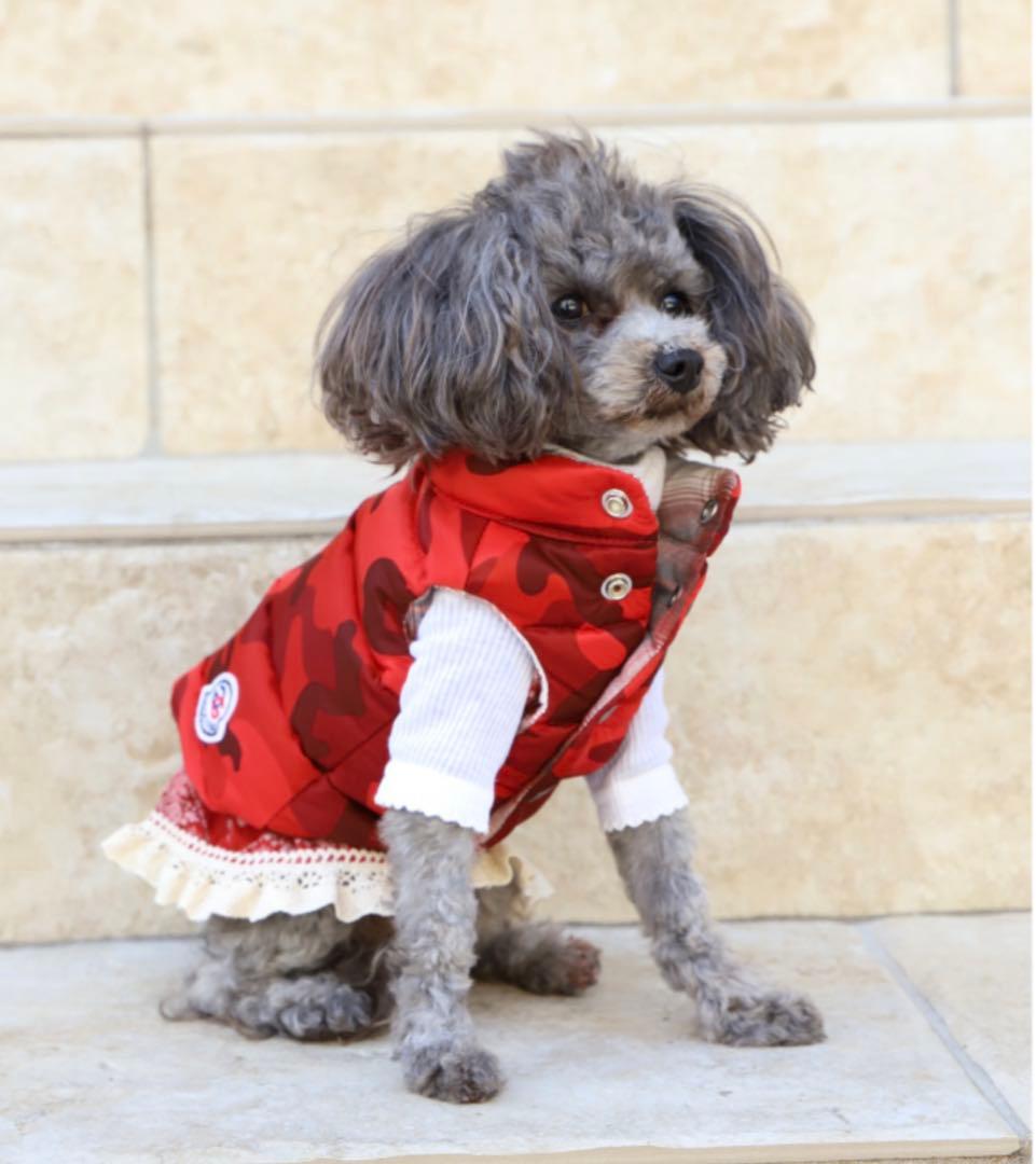 アトリエGG 犬 ダウンジャケット 赤 サイズ2ハーフ GG MADE IN TOKYO