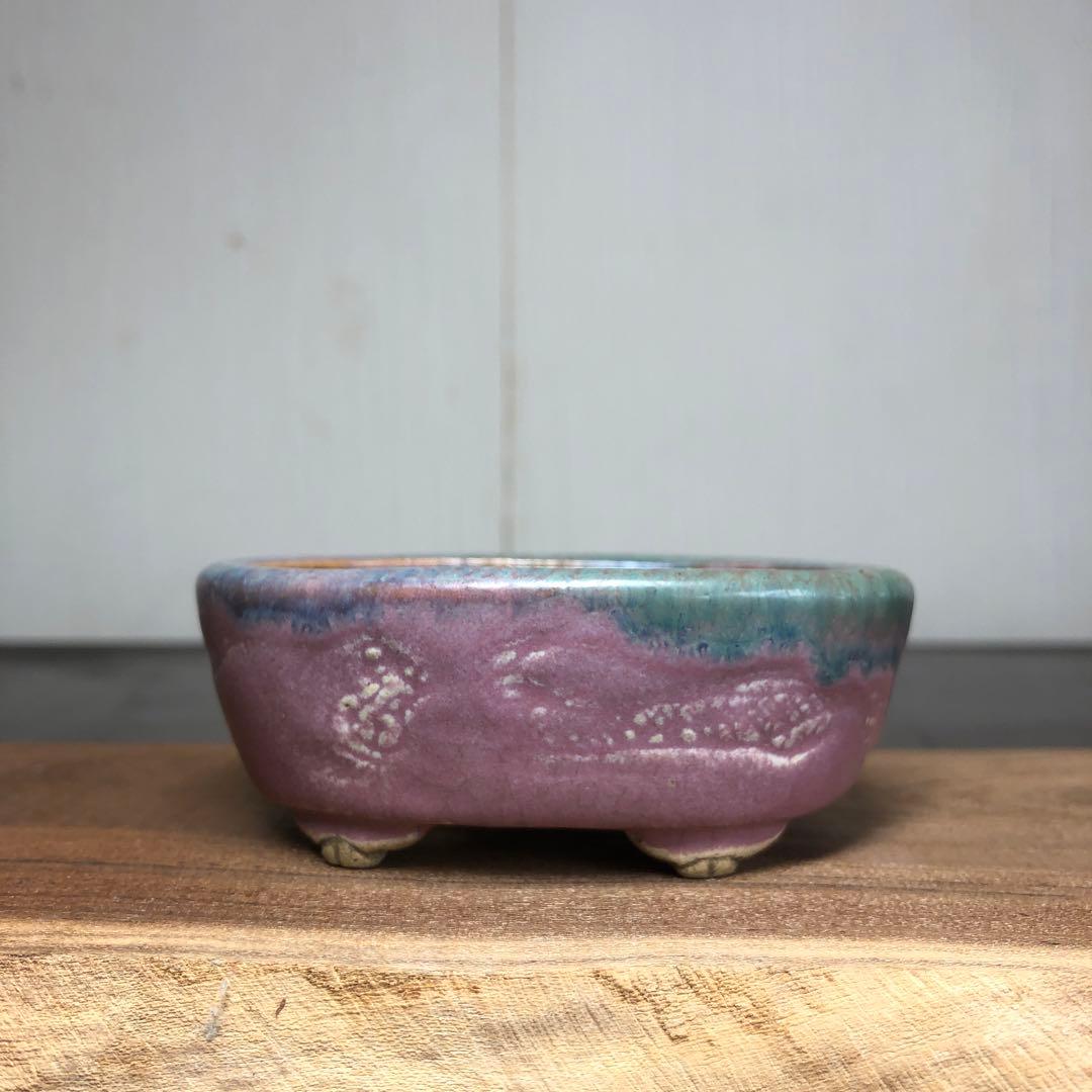 【名品】　岡谷是心　小品盆栽鉢　山野草鉢