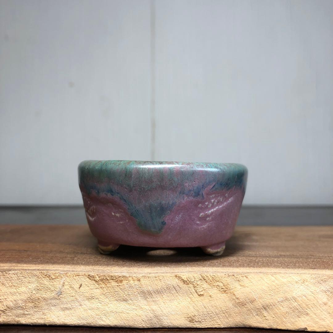 名品】 岡谷是心 小品盆栽鉢 山野草鉢