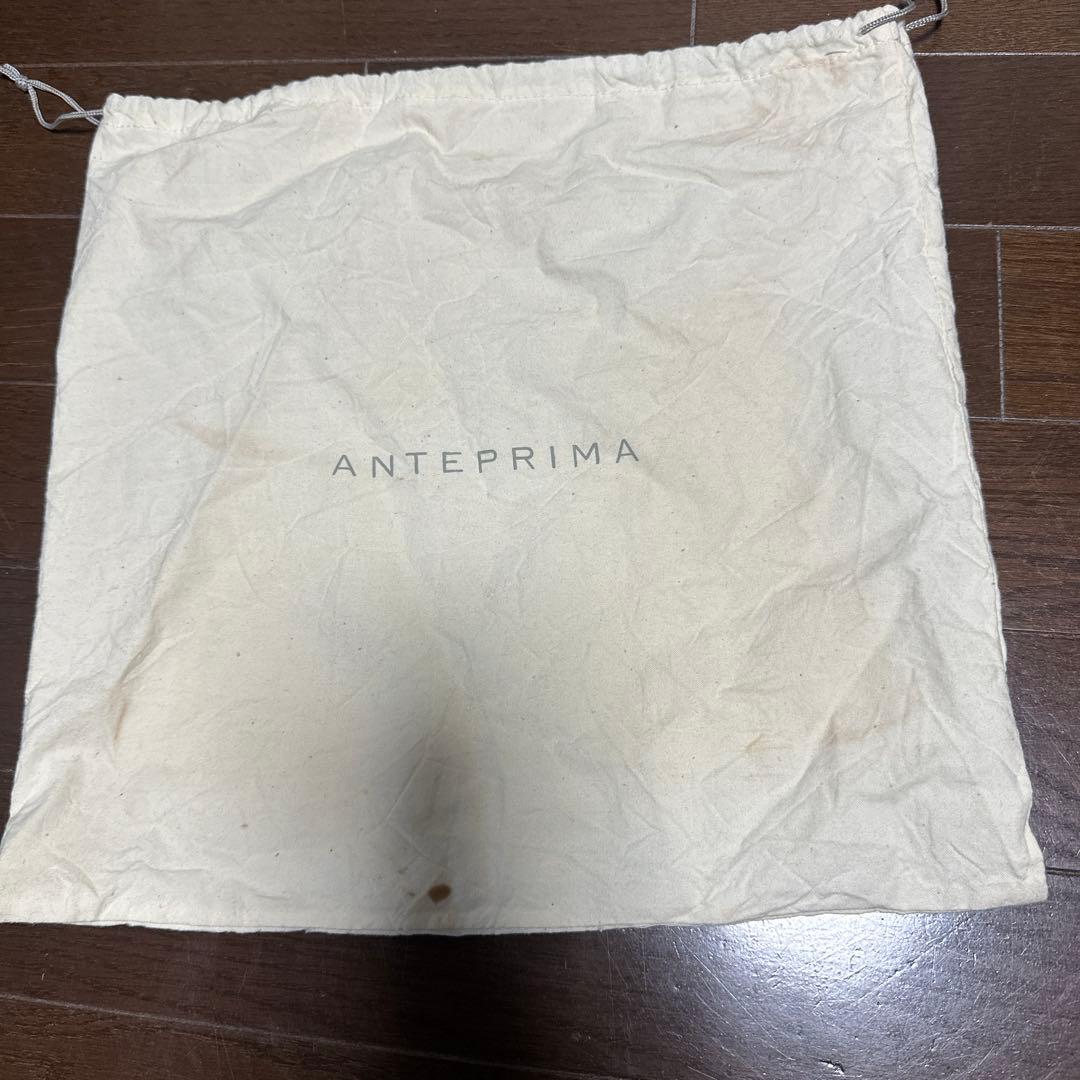 【極美品人気】 ANTEPRIMA ワイヤーバッグ スタンダードスクエア ラージ