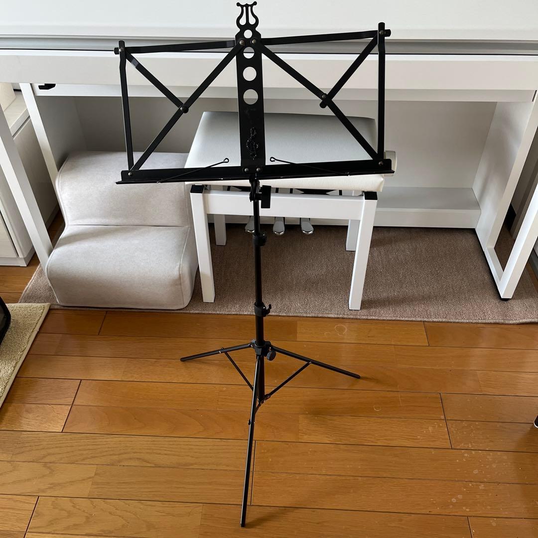 青山ハープ　サウルハープ　25S ホワイト　専用ケース付き　25弦　楽譜台も