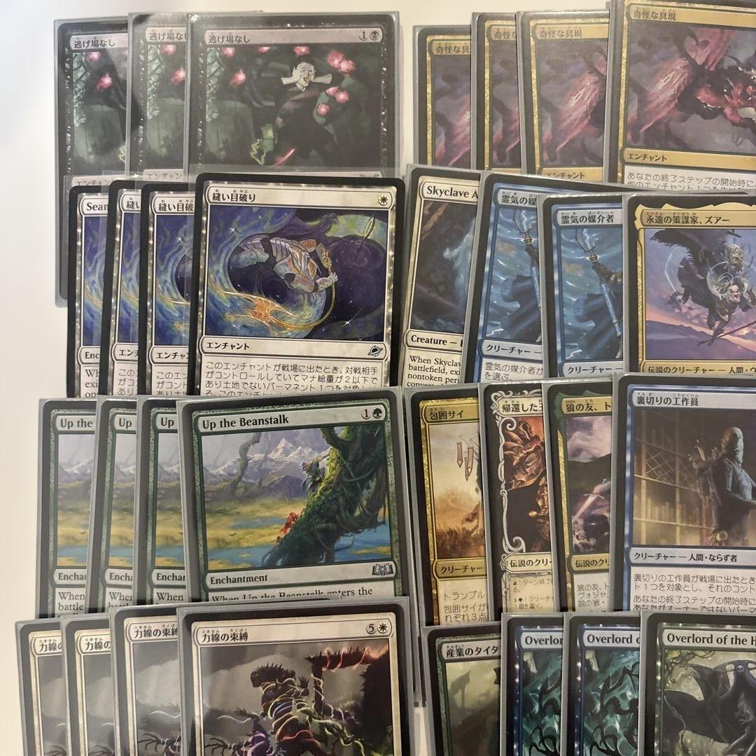 パイオニアデッキ 奇怪な具現 大主 - メルカリ