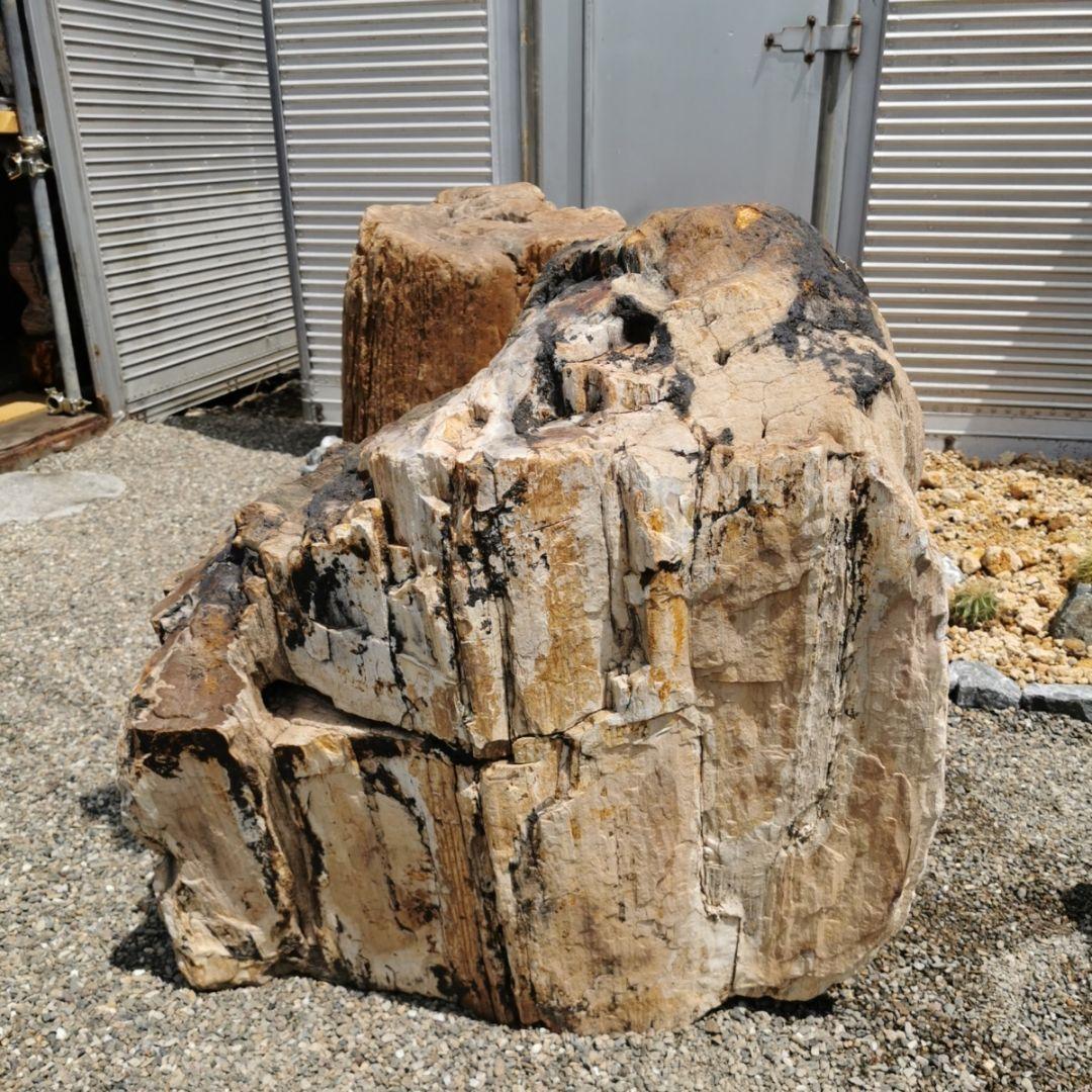 秋田産 珪化木 349キロ 木化石 庭石 石 鑑賞石 置物 オブジェ - メルカリ