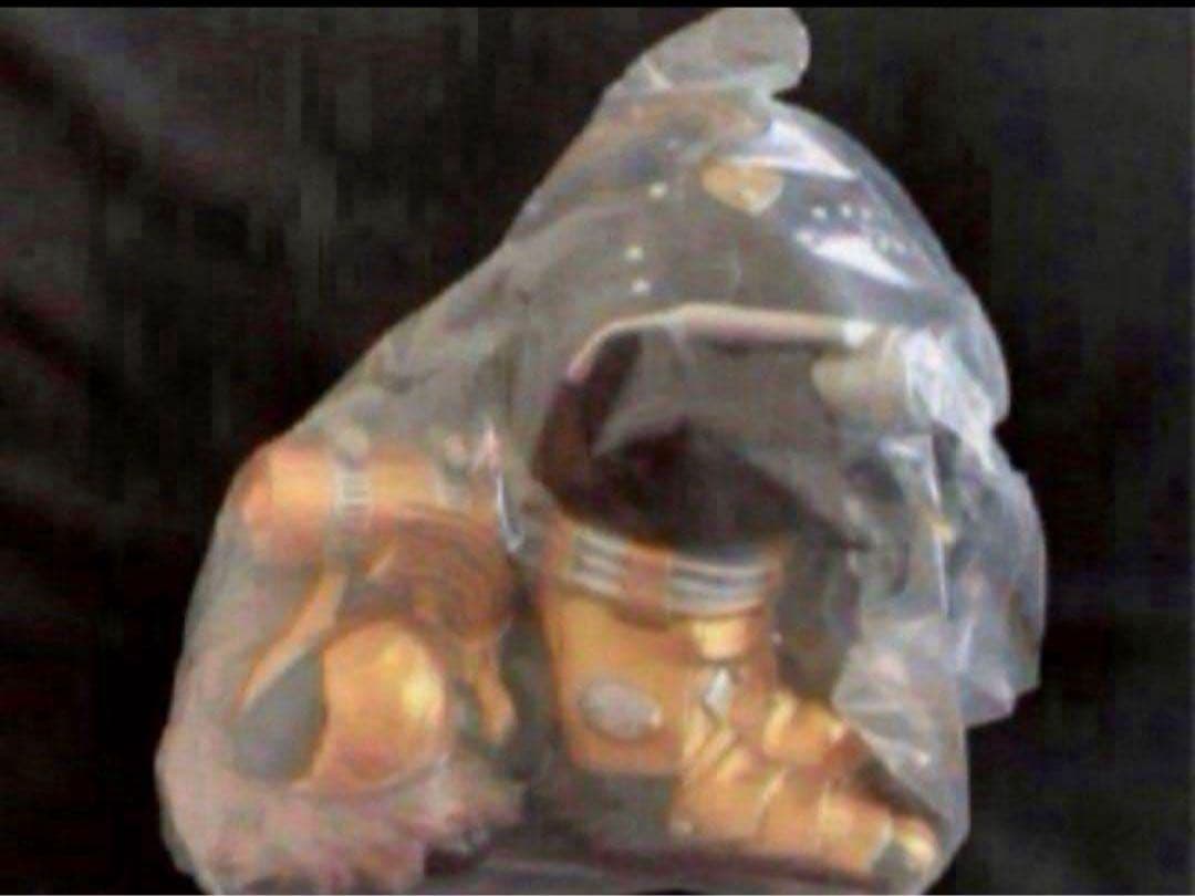 世田谷ベース正式装備品　アンダーリペアドッグⅡ【モノクロバージョン】