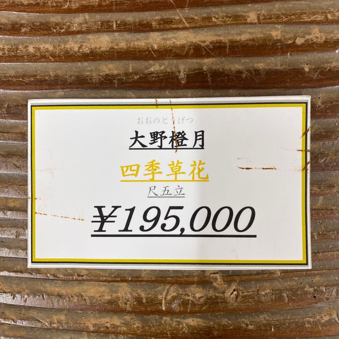 美品 掛け軸 大野橙月作 四季草花図 共箱 太巻き付 花鳥
