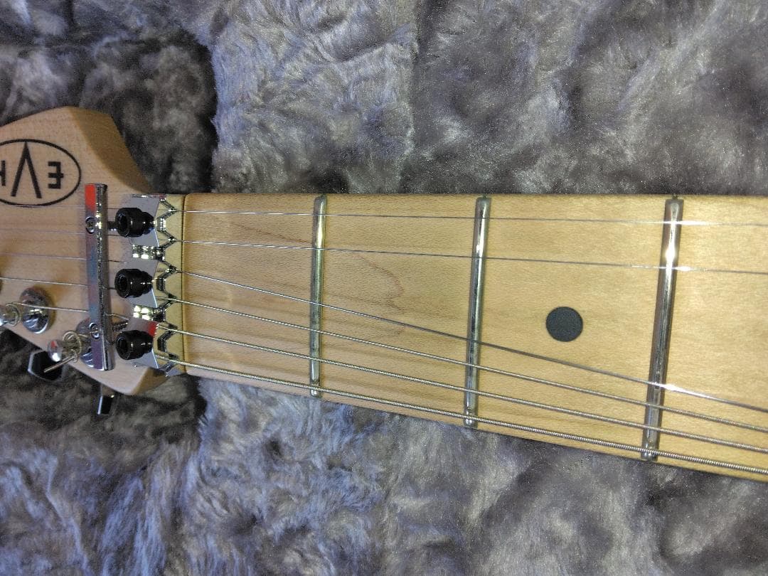 EVH Striped Series 白黒 ＋ 新品Fenderケース